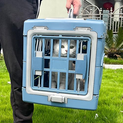 Transporteur pour chat idéal en camping et randonnée