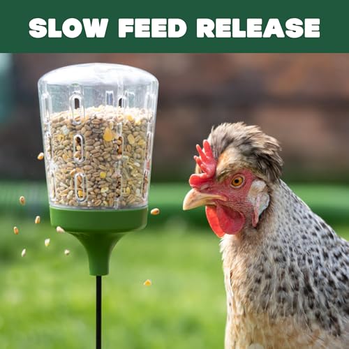 Image of Omlet Poppy Chicken Peck Toy | Interactive Foraging & Pecking Enrichment Toy for Hens | Slow-Feed Treat Dispenser | Reduces Boredom & Feather Pecking | 300g Feed Capacity | 2 Designs