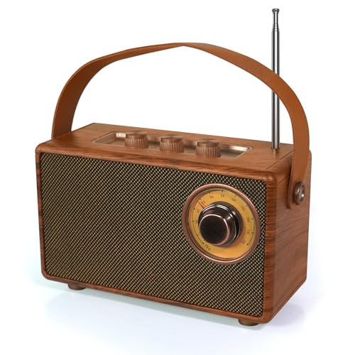 FUNFOR Retro Radio Vintage Bluetooth Speaker with FM Radios Small Portable Radios and 1500mAh Battery Support TF Card/AUX/USB MP3 Player 5W Speaker Bluetooth 5.0