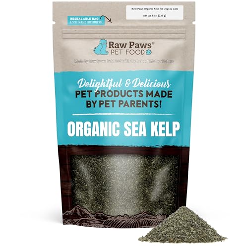 Raw Paws Organic Kelp Powder for Dogs & Cats (8-Ounce) - Supports Thyroid Digestive & Immune Health - Dried Sea Kelp for Dogs - Seaweed Powder Supplement