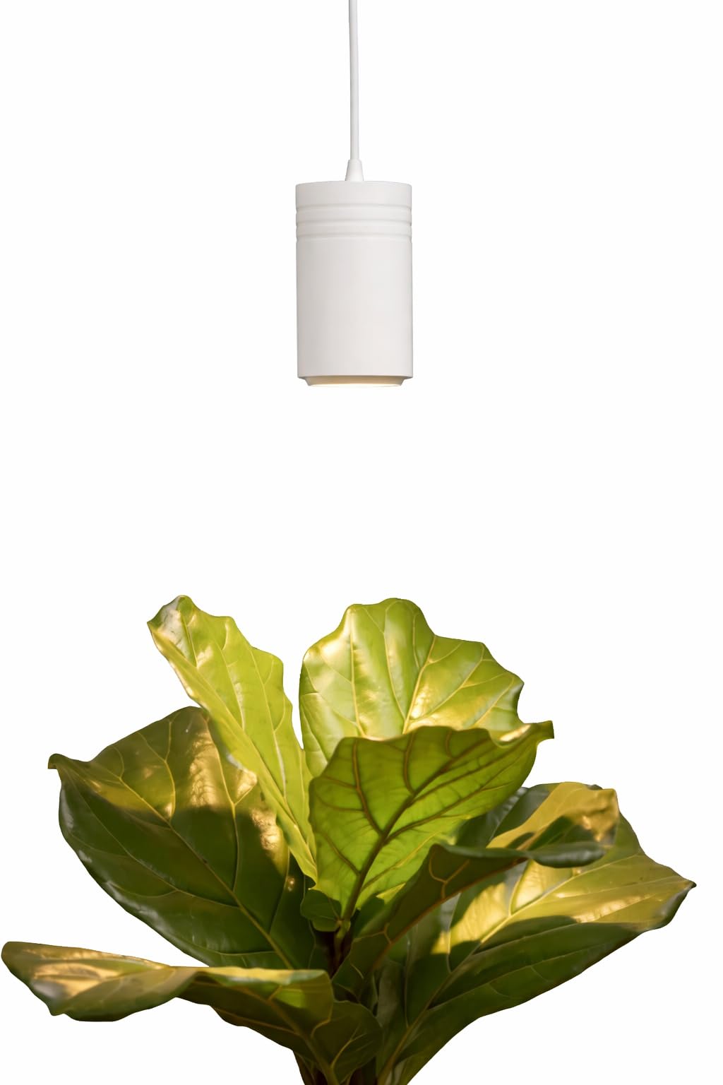 Aspect Large White Luxury LED Grow Light – for Medium and Large Plants