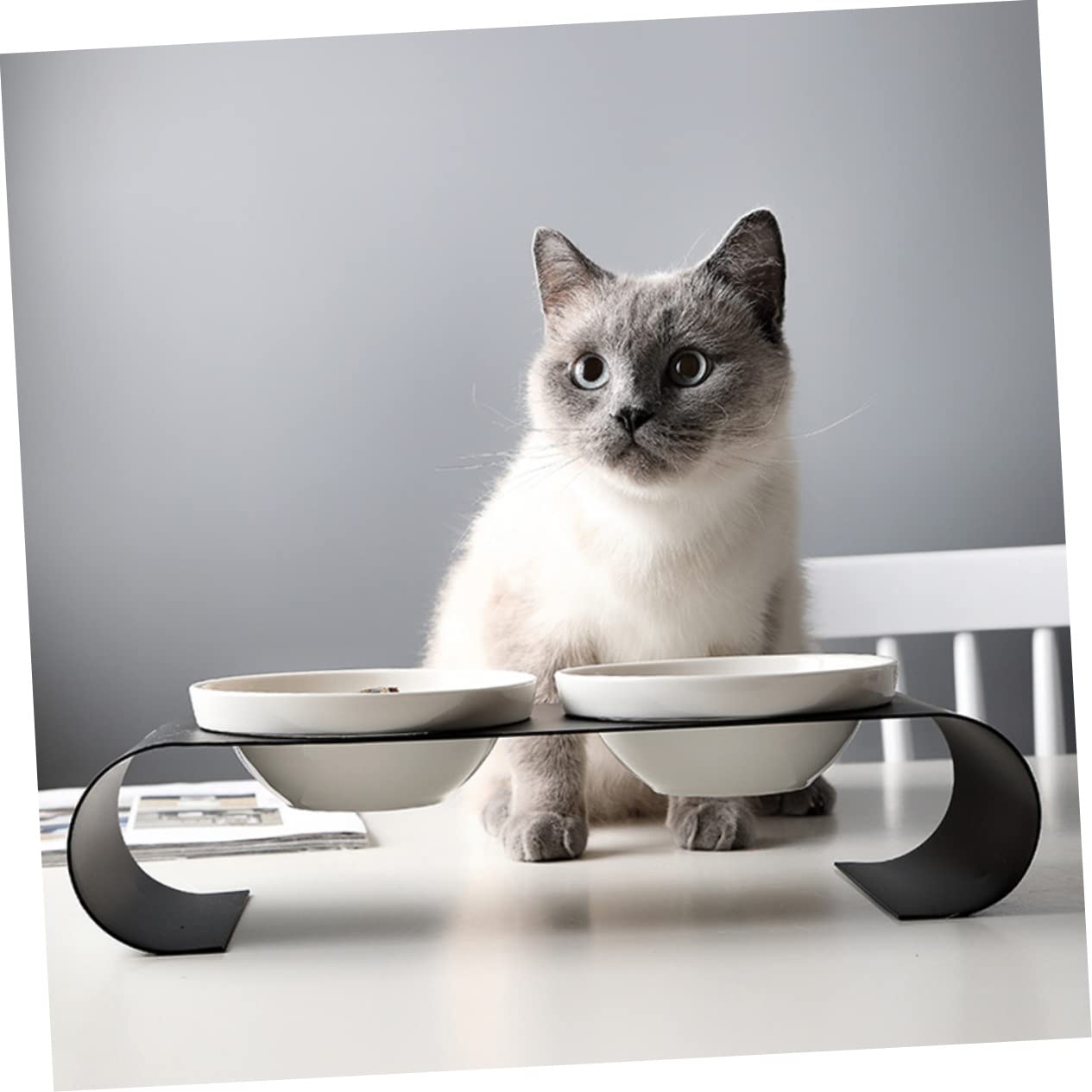 Comedero para Mascotas De Comedero Doble Rejilla De Hierro para Gatos para para Gatos y Bebedero para Mascotas Casa