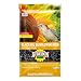 Audubon Park 12261 Black Oil Sunflower Seed Wild Bird Food, 10-Pounds