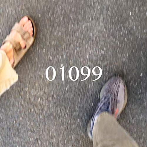 01099
