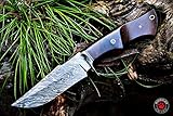 BIGCAT ROAR Handgefertigtes Jagdmesser aus Damaszener-Stahl mit Scheide 25,4 cm, feststehende Klinge mit Walnussholzgriff- und Bushcraft-Messer EDC Gürtel-Messer für Männer
