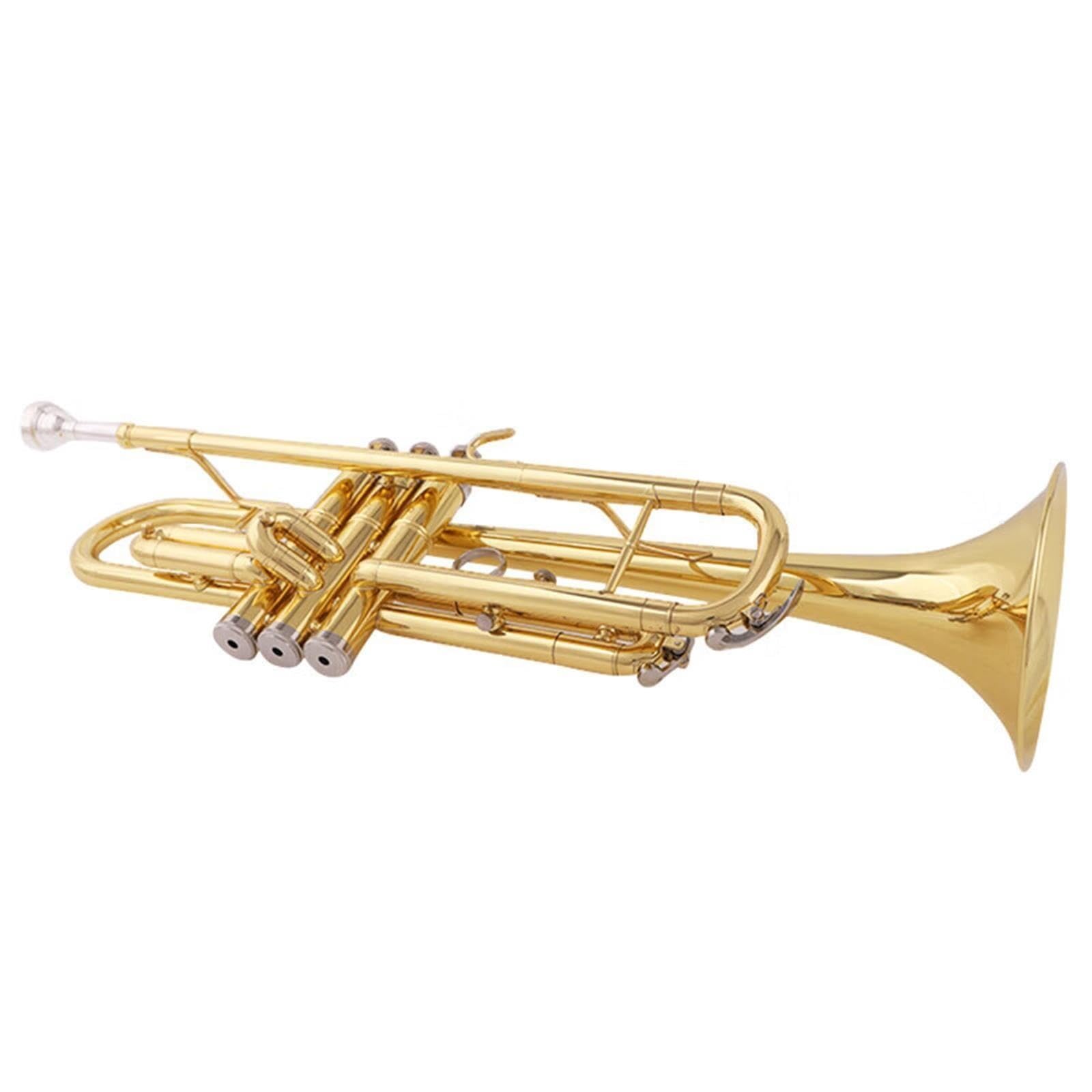 Tromba In Si Bemolle Per Principianti Tromba
