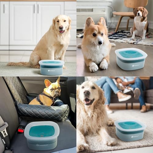 LumoLeaf Wassernapf für Hunde, kein Verschütten, langsamer Futterspender, hält Maul trocken, tropffreies Design (2L Blau)