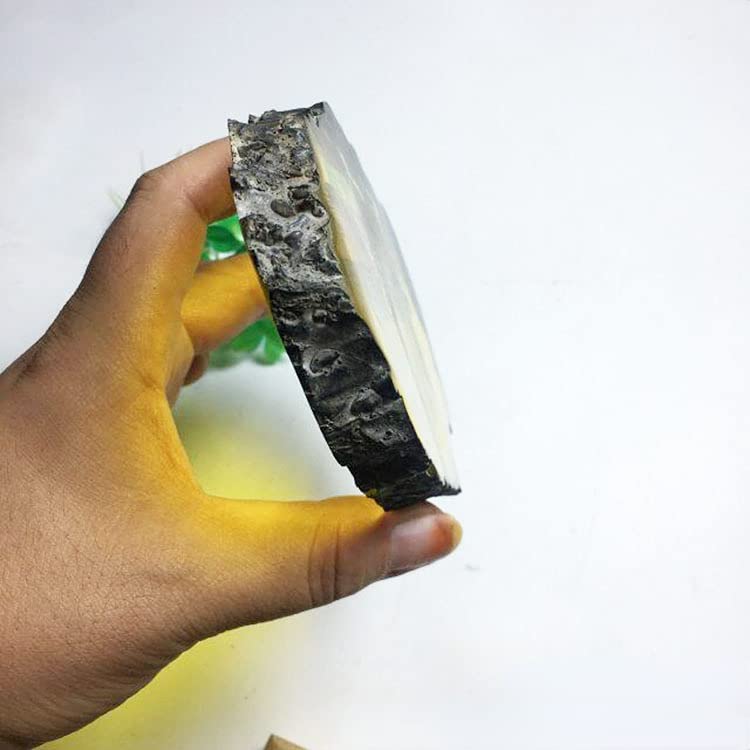 Image of Amber Fossils Insect Samples Artificial Amber Insect Specimen Pendant Stone Decoration Crystal Samples Collection Science Education Dragonflies, Cicadas, Scorpions, Butterflies (Scorpions)