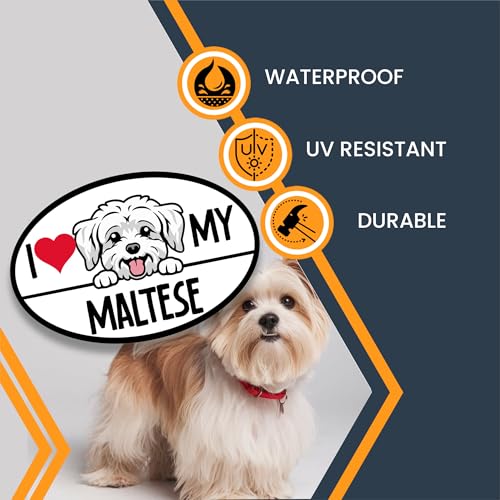 Image of Magnet Me Up I Love My Maltese Dog Breed Car Magnet Decal, 4x6 Inches Oval, Decorative Magnet, Charming and Playful Breed, Cute Peeking Dog Bumper Magnet, Gift for Maltese Dog Lover, Crafted in USA