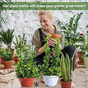 Moon Phase Plant Trellis 3 Pack, 14.25 Inch Small Trellis for Potted Plants, Metal Plant Trellis for Climbing Plants Indoor, Black Moon Phase Plant Trellis 3 Pack 1425 Inch Small Trellis for Potted Plants Metal Plant Trellis for Climbing Plants Indoor Black