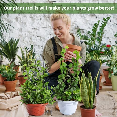 Moon-Phase-Plant-Trellis-3-Pack-1425-Inch-Small-Trellis-for-Potted-Plants-Metal-Plant-Trellis-for-Climbing-Plants-Indoor-Black Moon Phase Plant Trellis 3 Pack 1425 Inch Small Trellis for Potted Plants Metal Plant Trellis for Climbing Plants Indoor Black