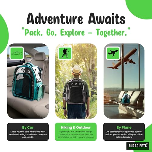 Image of Buraq Breathable Design Pet Carrier Backpack for Hot Weather Travel, Hiking, Ventilated, Touring, Airline-Approved, Sturdy Base cat Bag for Cats Kitten Puppy Rabbit Bird (Black)