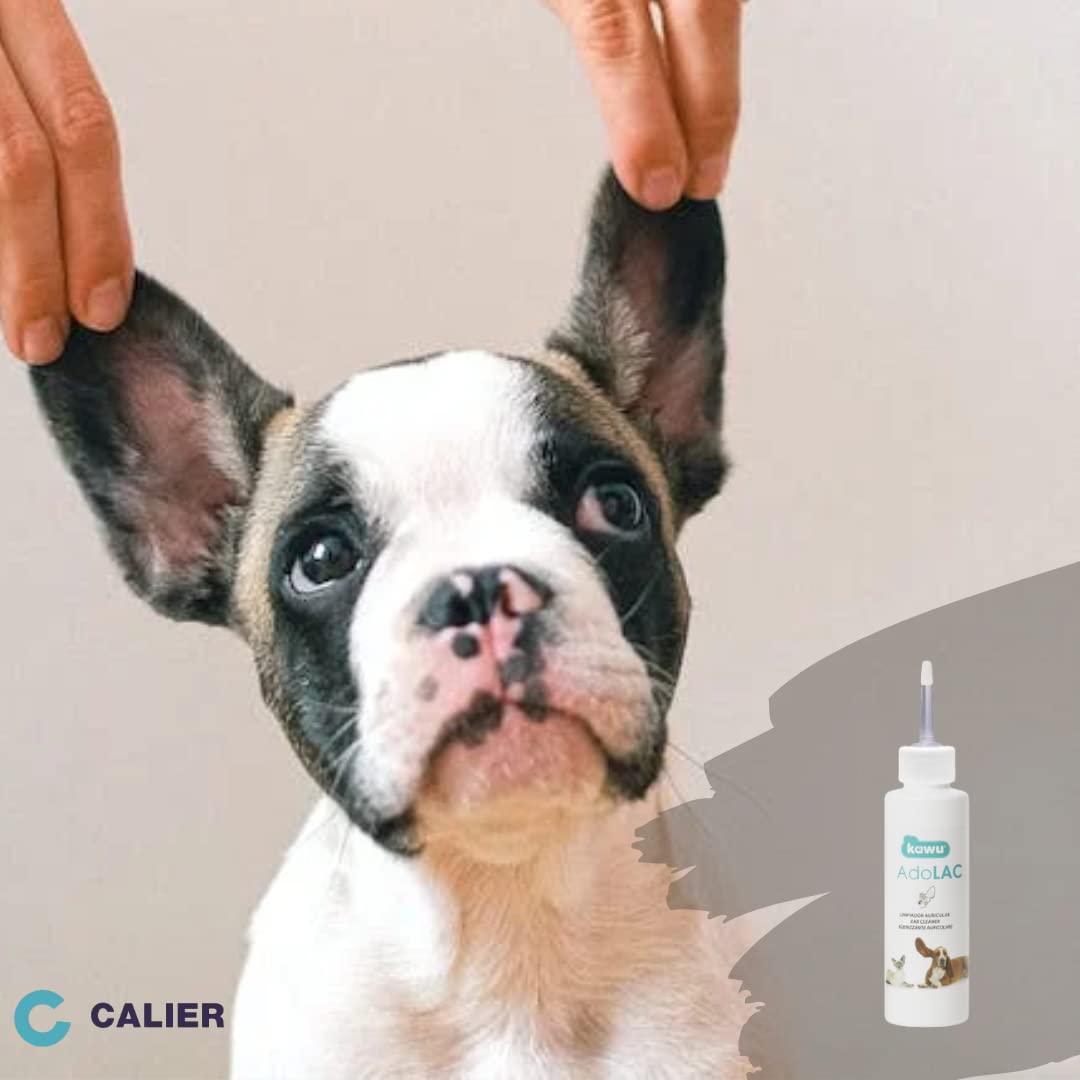 Calier Adolac Nettoyant pour Casque 125 ML