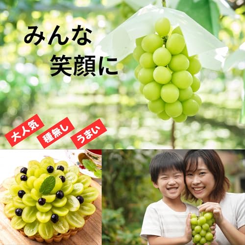 ノーブランド品 シャインマスカット 晴王 岡山県産 の商品画像 6