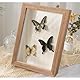 Houstimi 3D Bilderrahmen zum Befüllen Bilderrahmen Holz 13x18cm 2 Pack Dunkles Holz Fotorahmen aus Massivholz und Echtglas für Objekte bis 1.5cm