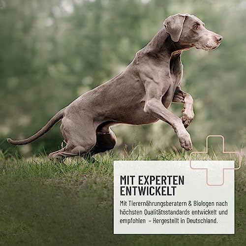 ReaVET Funktionssnacks I Gras- & Kotfresser Drops für Hunde I bei Fressen von Gras & KOT - unterstützt den Magen I Grasfresser Getreidefreie Hunde-Leckerlies Ohne Zucker