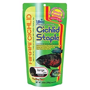 Hikari 8.8-Ounce Cichlid Staple Floating Pellets for Pets, Large