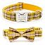 Mango Yellow Plaid