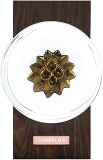 Ferrofluid Visualizer, Music Rhythm Lamp, Magnetic Fluid Music Mate, Dacing Desk Decor in Music, Ideal Gift for Friends (Gold)