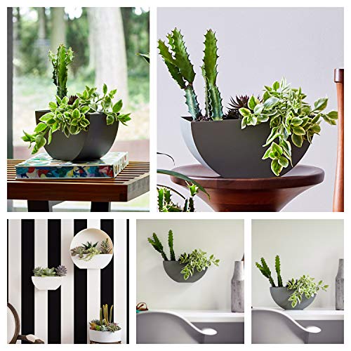 Bloem Bodye Half Moon Wall Mounted Hanging Planter 11" Charcoal Gray (Bod11908-Hm) #TOP1