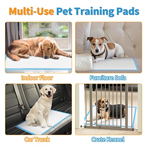 Image of Dog and Puppy Training Pads， Disposable Dog Pee Pads (20, 23.5 inch*35.5 inch(60*90cm))