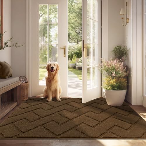 Biscpro Fußmatte Innen Außen Waschbar eingangsteppich innen Schmutzfangmatte rutschfest,Türmatte Innen Teppich für Eingang, Patio, Flur, Garten, Innen und Außen