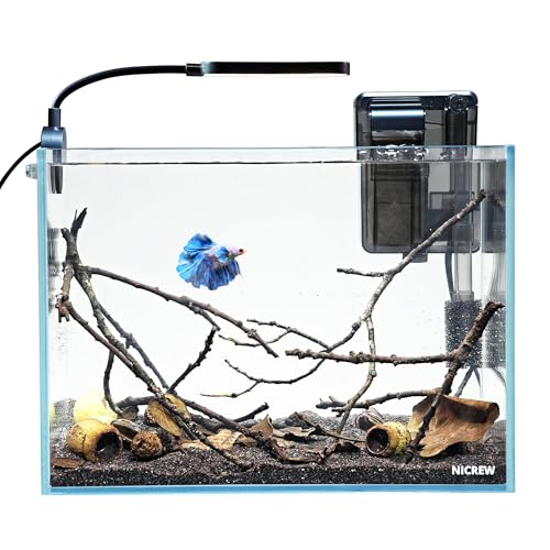NICREW 2.5 Gallon Nano Nature Aquarium Kit, Ultra-Clear Rimless Desktop Fish Tank with Light and Filter, Perfect for Small Fish, Shrimp, or Betta, Basic Version, Clear
