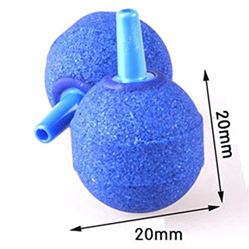 Brussels08, pompa per acquario, palla idroponica