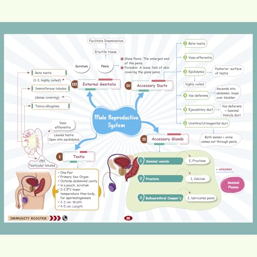 Image of PW NEET Biology Immunity Booster Class 12 By Dr. Akanksha Agarwal (Gurumaa) For 2026 Exam | Handwritten Notes | NCERT Based Concepts, PYQs, Tips, Tricks, Flowcharts, Mind Maps & Quick Revision