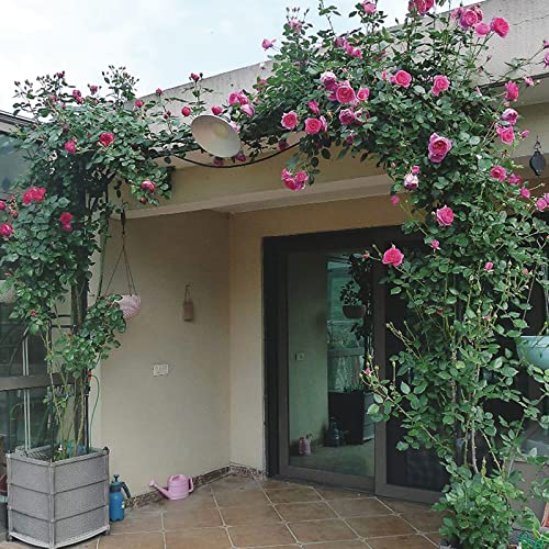 Arco de jardín de metal resistente, 350 cm x 220 cm, enrejado blanco para plantas trepadoras, rosas y uvas, decoración de cenador al aire libre para césped y jardín trasero