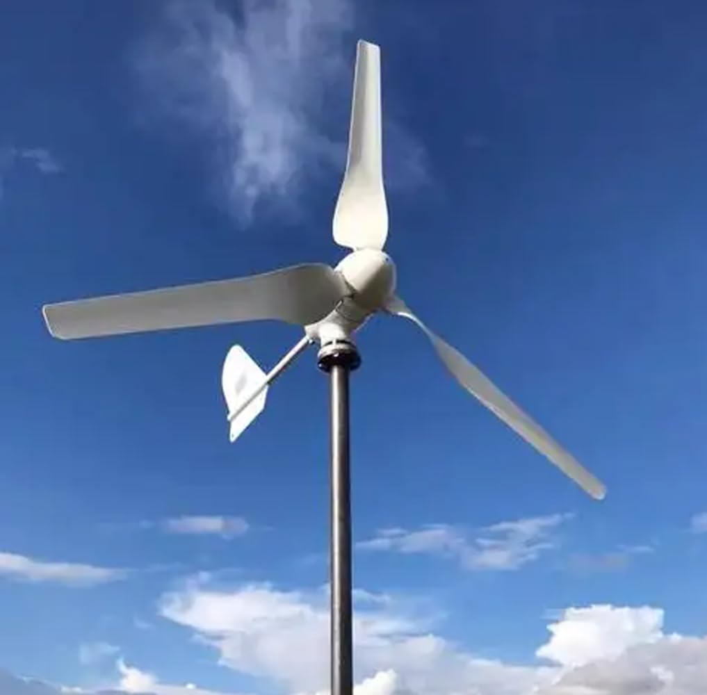 1000W 24V / 48V Horizontaler Windkraftanlage 3 Blättern Windturbine Windgenerator Kit,mit MPPT Wind Solar Hybrid Laderegler und Wechselrichter Ausgabe 230V,Netzunabhängig Einsatz (24V)