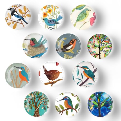 Set de 12 imanes decorativos redondos para nevera