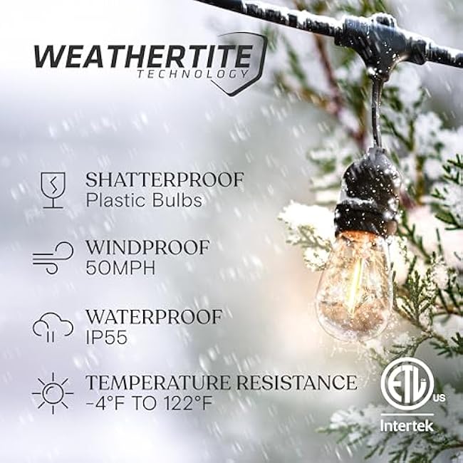 Brightech Ambience Pro LED String Lights - 24 Ft Commercial Grade Patio Lighting Outdoor Waterproof - 7 Heavy Duty Porch Lights for Outside, Christmas, Backyard - 1W Vintage Edison Bulbs, Dimmable