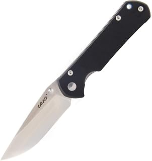 Sanrenmu Land 910 Pocket Knife Folding Knife 12C27 Blade G10 Handle Liner Lock Pocket EDC Knife (Black,G10)