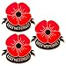 3 PCS Remember Memorial Day Gifts Flower Red Black Poppy Brooch Pin Lest We Forget