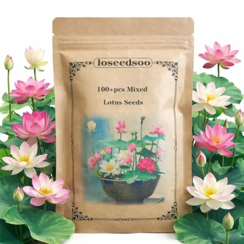 100+ Mixed Lotus Seeds for Planting – Aquatic Lotus Flower