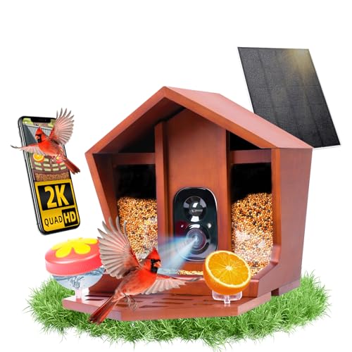 Birdster Smart Bird Feeder