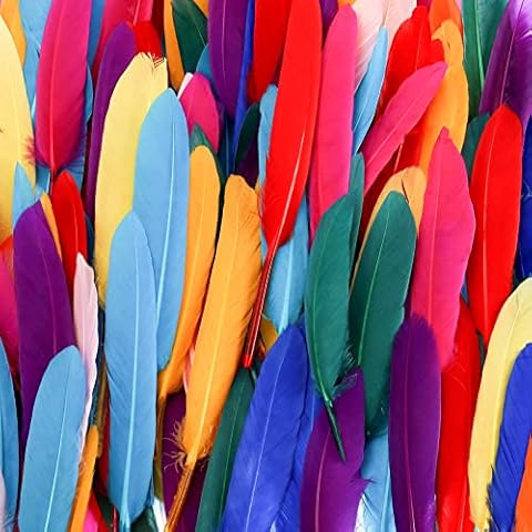 Okllen 500 Pack Colorful Goose Feathers, 4-6 Inches Natural Feathers for DIY Crafts, Dream Catchers, Jewelry Making, Party Decor, 10 Colors Cover