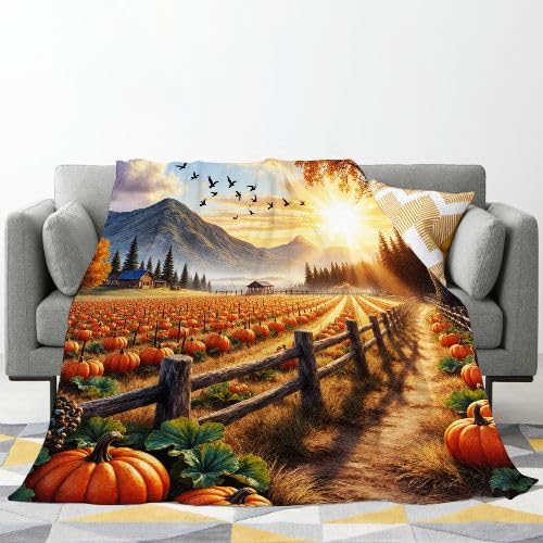 Plaid Polaire 220x240 Citrouille Couverture Lit King Size Chaude - 2
