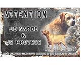 Pancarte attention au chien personnalisée labrador sable - pré perforée et vis fournies. De 30 cm à 15 cm…