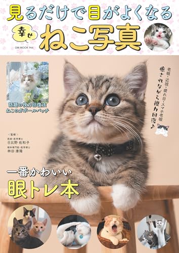 見るだけで目がよくなる幸せねこ写真