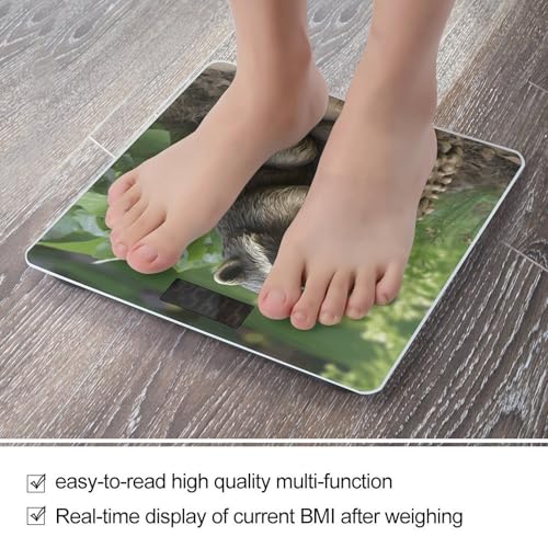 Báscula digital de baño con estatua de mapache y pantalla LCD miniatura 5