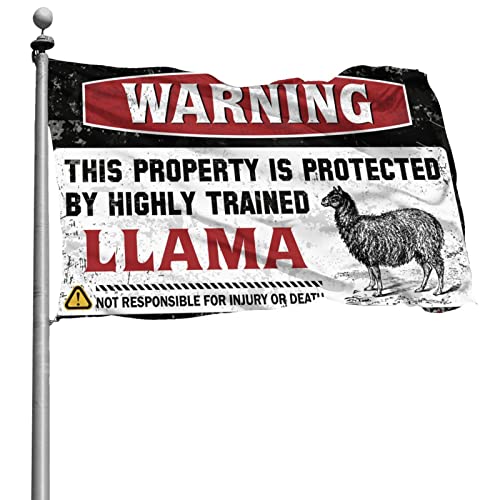 Drapeau Lama pour chambre universitaire et déco de dortoir de taille grand format 152x244 cm