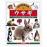 ウサギ (動物飼育図鑑 3)