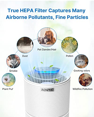Renpho Air Purifier For Home With 2 Pack Replacement Filter For Moist Conditions, True Hepa Air Filter Cleaner Intercepts Dust, Smoke, Smell, For Room Up To 240Ft² (22M²), Quiet 26Db, Rp-Ap088-F2, 2 P #TOP7