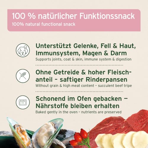 AniForte 4in1 Snack für Hunde 300g - Natürliche Rundumversorgung für Gelenke, Immunsystem, Verdauung, Fell & Haut, Magen & Darm, getreidefrei, bewährt mit Grünlippmuschelpulver, Inulin, Hagebutte