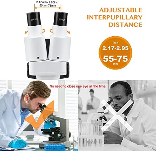 顕微鏡アクセサリーキット 20X/40X 双眼ステレオ顕微鏡スライド(カラー:ホワイト、倍率:20X40X)