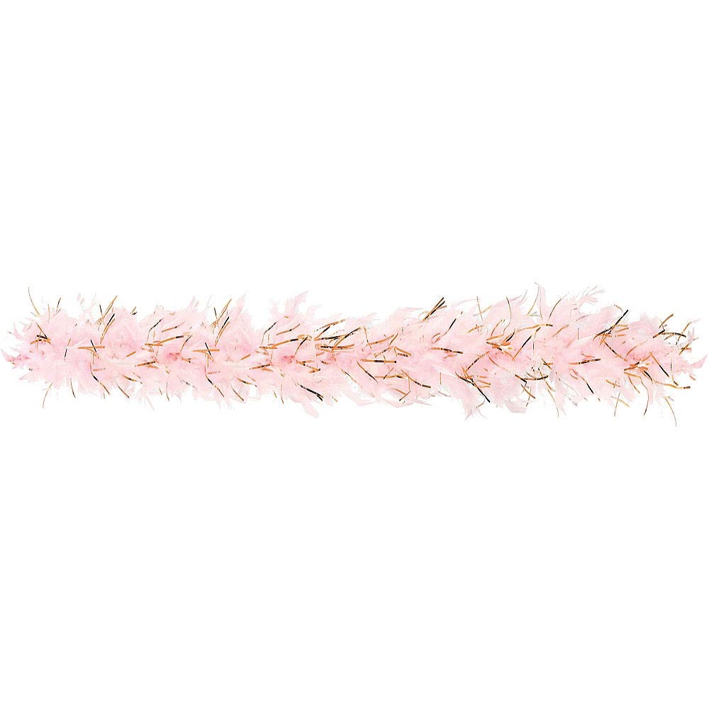Special Occasions, Wedding, Bachelorette Party Supplies; Blush & Rose Gold Feather Boa