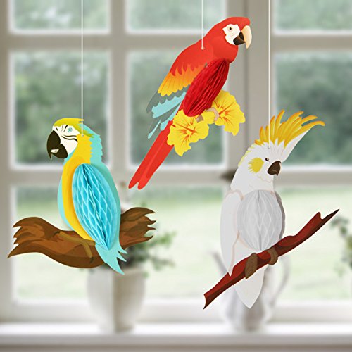 parrot suppliers