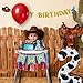 Cartoon Toy Highchair Banner for 2nd Birthday Party Decorations Two Infinity and Beyond High Chair Tassel Banner for Boys 2 Years Old Western Cowboy 2 Birthday Photo Props Backdrop Decorations